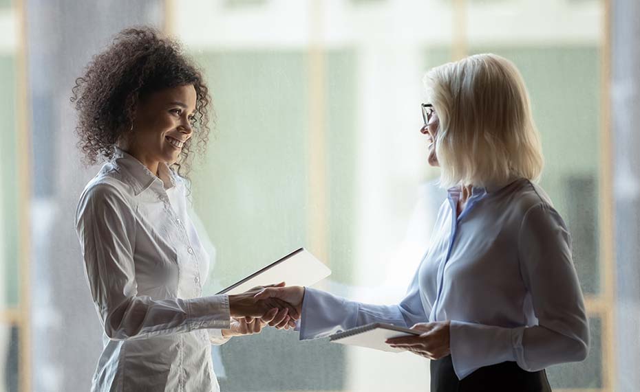 professional people handshake