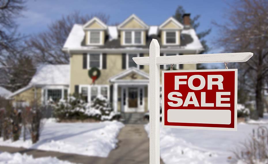 house for sale in snow